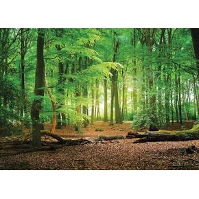 SJOLOON 7X5ft Spring Green Forest Thin Vinyl Photo Backdrops Camping Themed Baby Shower Photography Background Studio Props 10516