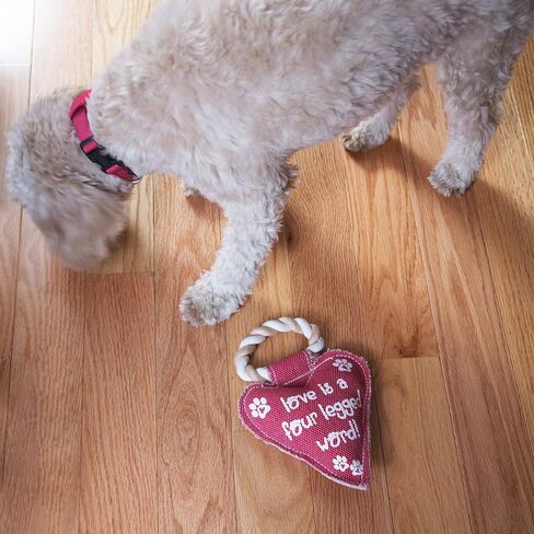 Pavilion Gift Company 45611 Pavilion's Pets-Red Heart Shaped Canvas and Rope Dog Squeaky Toy-Love is a Four Legged Word in Saudi Arabia