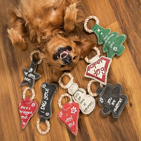 Pavilion Gift Company 45611 Pavilion's Pets-Red Heart Shaped Canvas and Rope Dog Squeaky Toy-Love is a Four Legged Word in Saudi Arabia