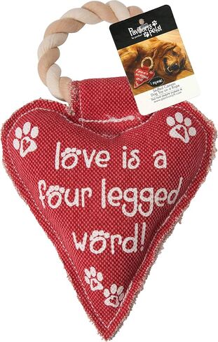 Pavilion Gift Company 45611 Pavilion's Pets-Red Heart Shaped Canvas and Rope Dog Squeaky Toy-Love is a Four Legged Word in Saudi Arabia