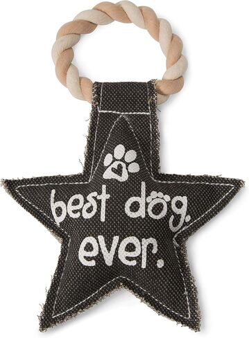 Pavilion Gift Company 45611 Pavilion's Pets-Red Heart Shaped Canvas and Rope Dog Squeaky Toy-Love is a Four Legged Word in Saudi Arabia