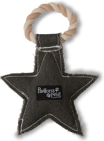 Pavilion Gift Company 45611 Pavilion's Pets-Red Heart Shaped Canvas and Rope Dog Squeaky Toy-Love is a Four Legged Word in Saudi Arabia
