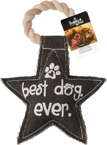 Pavilion Gift Company 45611 Pavilion's Pets-Red Heart Shaped Canvas and Rope Dog Squeaky Toy-Love is a Four Legged Word in Saudi Arabia