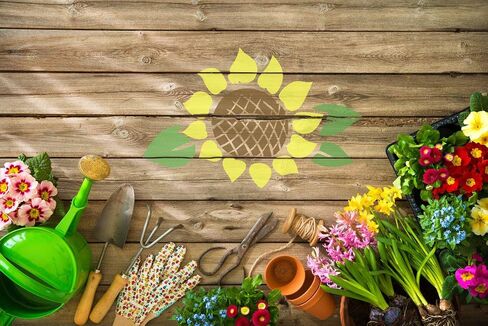 Sunflower Stencils, 2 Packs Flower Stencils Painting on Wood, A4 Mylar Reusable Stencils Porch Sign Stencil DIY Craft Templates for Scrapbook Furniture 8.3"x11.7" in Saudi Arabia