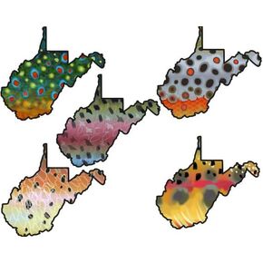 West Virginia 3" Trout Fly Fishing Sticker Decal Set Waterproof Vinyl Great Gift for Angler Fits Yeti Hydroflask Brown Trout Rainbow Trout Golden Trout Brook Trout Cutthroat Trout