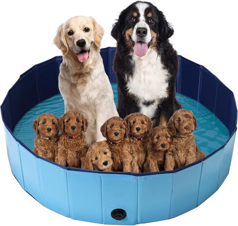 Dog Whelping Box, Foldable Birthing Pool for Dogs, Whelping Pool for Puppies, Poartable Plastic Swimming Pool & Bath Tub for Dogs, Blue (Blue, 31.5" Dia. × 7.9" H (80cm × 20cm)) in Saudi Arabia