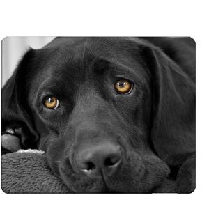 Puppy Rectangle Gaming Mousepad Rottweiler Cute Puppy Dog Mouse Pad Mouse Mat for Computer Desk Laptop Office 9.5 X 7.9 Inch Non-Slip Rubber