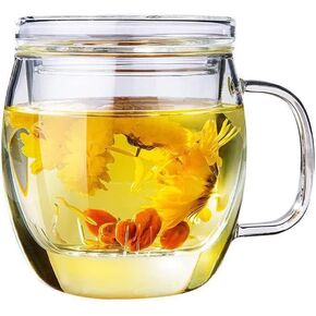 Glass Tea Cup with Infuser and Lid,500ml (17oz) Borosilicate Glass Tea Mugs for Loose Leaf Tea,Glass Tea Cups with Filter for Black Tea,Great Loose Tea-leaf Brewing System