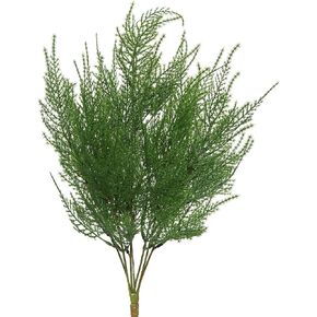 Vickerman 19.5" Artificial Green Asparagus Bush - Faux Indoor Plant Bush - Greenery for Home Or Office Decor - Maintenance Free - Faux Greens for Arrangement