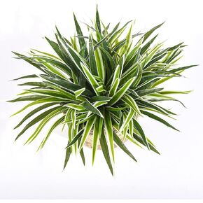 5 PCS Artificial Spider Plant Fake Greenery Realistic Chlorophytum Plants Indoor Home Shelf Office Decoration Faux Curly Spider Plants
