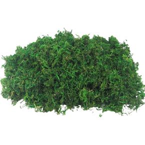 FAICOIA الطحلب الأخضر للحرف اليدوية الطحالب المحفوظة السائبة المجففة الطبيعية المحفوظة الطحلب الاصطناعي ديكور لنباتات الحديقة الجنية حشو الجدول المركزية الزفاف عيد الميلاد الحرف ديكور الحفلات in Kuwait