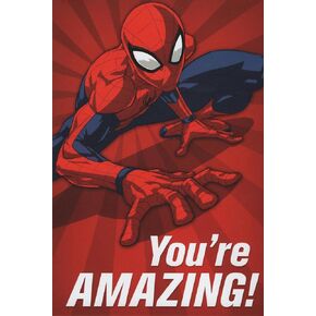 Expressions by Hallmark You're Amazing! Spider-man | Spiderman Happy Birthday Card
