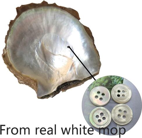 20 قطع 9 مللي متر أزرار بيضاء أصلية من أم اللؤلؤ الأبيض الطبيعي MOP للقمصان فساتين بولو Craft بها بنفسك الحرفية (قطر 9 مللي متر) in Kuwait