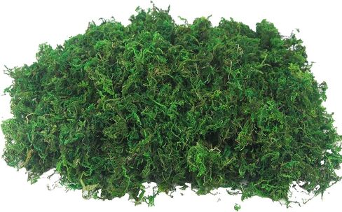 FAICOIA الطحلب الأخضر للحرف اليدوية الطحالب المحفوظة السائبة المجففة الطبيعية المحفوظة الطحلب الاصطناعي ديكور لنباتات الحديقة الجنية حشو الجدول المركزية الزفاف عيد الميلاد الحرف ديكور الحفلات in Kuwait