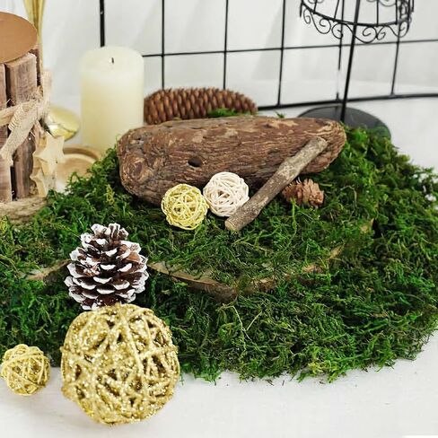 FAICOIA الطحلب الأخضر للحرف اليدوية الطحالب المحفوظة السائبة المجففة الطبيعية المحفوظة الطحلب الاصطناعي ديكور لنباتات الحديقة الجنية حشو الجدول المركزية الزفاف عيد الميلاد الحرف ديكور الحفلات in Kuwait