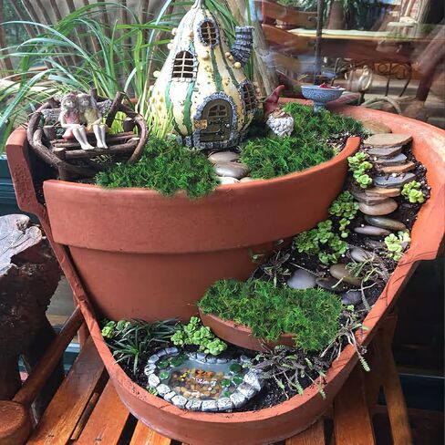 FAICOIA الطحلب الأخضر للحرف اليدوية الطحالب المحفوظة السائبة المجففة الطبيعية المحفوظة الطحلب الاصطناعي ديكور لنباتات الحديقة الجنية حشو الجدول المركزية الزفاف عيد الميلاد الحرف ديكور الحفلات in Kuwait