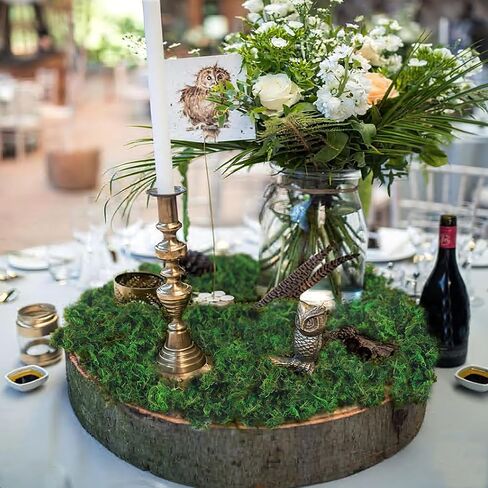 FAICOIA الطحلب الأخضر للحرف اليدوية الطحالب المحفوظة السائبة المجففة الطبيعية المحفوظة الطحلب الاصطناعي ديكور لنباتات الحديقة الجنية حشو الجدول المركزية الزفاف عيد الميلاد الحرف ديكور الحفلات in Kuwait