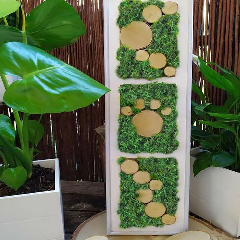 FAICOIA الطحلب الأخضر للحرف اليدوية الطحالب المحفوظة السائبة المجففة الطبيعية المحفوظة الطحلب الاصطناعي ديكور لنباتات الحديقة الجنية حشو الجدول المركزية الزفاف عيد الميلاد الحرف ديكور الحفلات in Kuwait