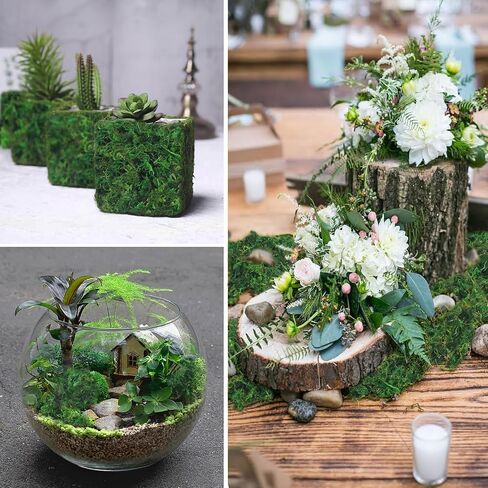 FAICOIA الطحلب الأخضر للحرف اليدوية الطحالب المحفوظة السائبة المجففة الطبيعية المحفوظة الطحلب الاصطناعي ديكور لنباتات الحديقة الجنية حشو الجدول المركزية الزفاف عيد الميلاد الحرف ديكور الحفلات in Kuwait