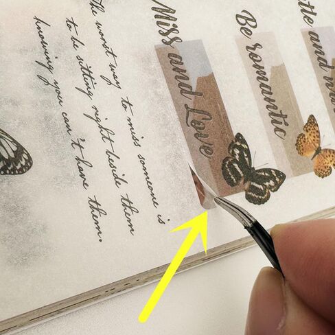 عبوتان من كتاب ملصقات واشي، 80 ورقة مع 360 قطعة من ملصقات الأفلام و40 ورقة لاصقة لسجل القصاصات، من أجل لوازم دفتر اليومية غير المرغوب فيها (أخضر) in Kuwait