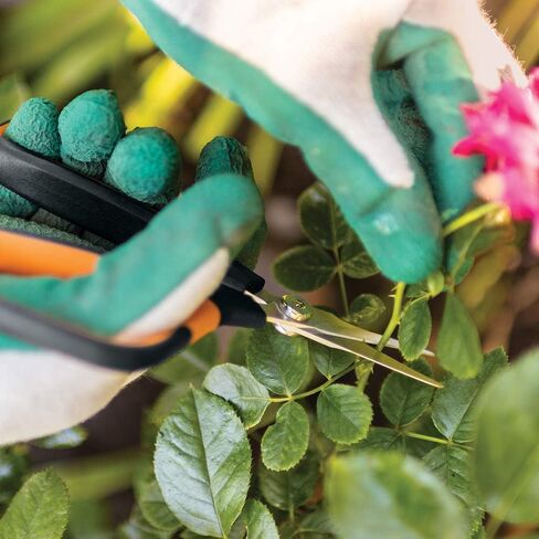 Fiskars Micro-Tip Pruning Snips Garden Clippers - Plant Cutting Scissors with Sharp Precision-Ground Non-Stick Blade - 2-Count in Saudi Arabia
