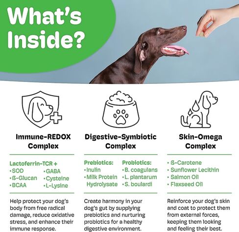 Emmuno Canine - Patented Digestive, Immune, Skin & Coat Health Supplement for Dogs - All Natural Lactoferrin, Probiotics, Prebiotics, Enzymes, Omega 3 Fish Oil and More - 90 Chewable Tablets in Saudi Arabia