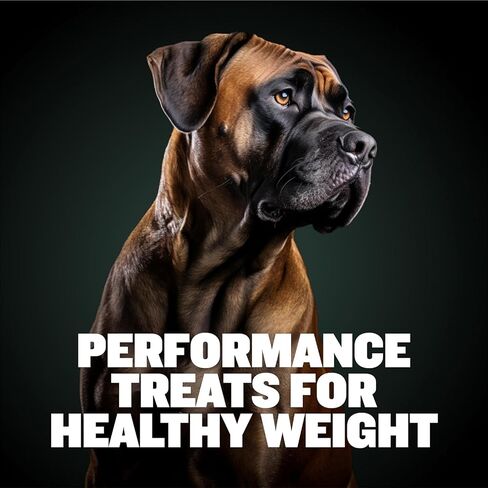 Bully Max Dog Weight Gainer Soft Chews for Puppies and Adults - High Calorie Dog Food Performance Supplement for Healthy Weight Gain, Immunity & Digestion - 75 Chews for All Breeds & Ages - 300g Pack in Kuwait