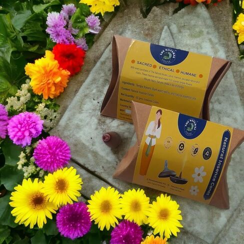 Natural Incense Cones | Sambrani Dhoop | Dhoop Cones | Pooja Articles | Pooja Samagri | Meditation Cones | Organic Dhoop Cones | Dhoop for Pooja | Sulpher & Charcoal Free (50 Grams) (Sandalwood) in Saudi Arabia