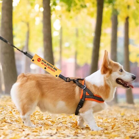 PWHAOO PTSD Service Dog Do Not Distract Alert Dog Leash Wrap PTSD Service Dog Leash Sleeve PTSD Assistance Dog Alert Gift (PTSD Sleeves) in Saudi Arabia