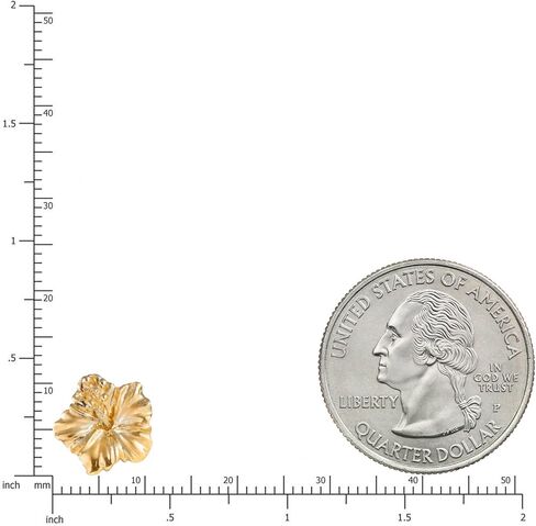 أقراط زهرة الكركديه هاواي من الذهب الأصفر الخالص عيار 14 قيراط، خالية من النيكل ولا تسبب الحساسية للبشرة الحساسة، للأم والابنة، يتضمن صندوق هدايا in Kuwait