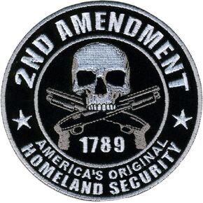 Hot Leathers PPA5950 Homeland Security 2nd Amendment Support Patch (4" Width x 4" Height)