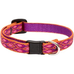 LupinePet Originals 1/2" Alpen Glow Cat Safety Collar , 8-12"