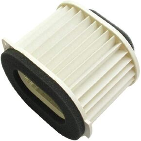 Hiflofiltro HFA4918 Premium OE Replacement Air Filter, Black