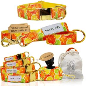 Sunset Avenue Set | Matching Dog Collar and Leash Set with Waste Bag & Storage for Girl or Boy Dogs and Puppies | Dog Collar and Leash Set for Large Dogs | Premium Durability (L)
