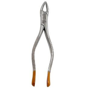 Dental Extracting Extraction Serrated Forceps #150, for Maxillary incisors, Canines, premolars and Roots, Premium Gold Handle, Stainless Steel