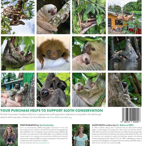 SLOTHS 2024 Wall Calendar | Benefits Sloth Conservation | Sloth Facts | Baby Sloths | 12 x 12 Inch Monthly Wall Calendar in Saudi Arabia