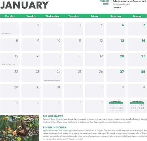 SLOTHS 2024 Wall Calendar | Benefits Sloth Conservation | Sloth Facts | Baby Sloths | 12 x 12 Inch Monthly Wall Calendar in Saudi Arabia