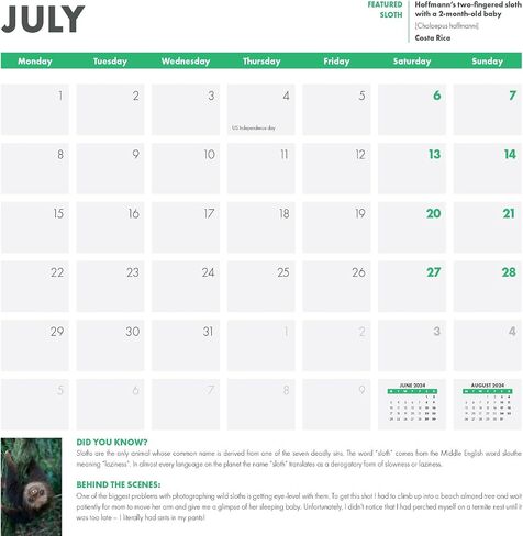 SLOTHS 2024 Wall Calendar | Benefits Sloth Conservation | Sloth Facts | Baby Sloths | 12 x 12 Inch Monthly Wall Calendar in Saudi Arabia