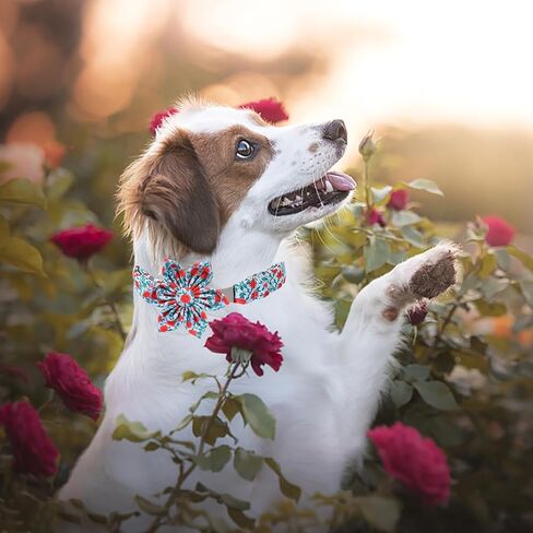Lionet Paws Design Dogs Collar Cute Flower Sailor Bow Dog Collars for Girl Female Medium Large Dogs with Summer Floral L in Saudi Arabia
