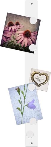 Three by Three Seattle 28 x 2.5 Inch Metal Strip Frameless Magnetic Bulletin Board (3 Pack) with 15 Large Magnets for Memos, Photos, Lists, and More in Office, Home, or School Décor (Stainless) in Saudi Arabia