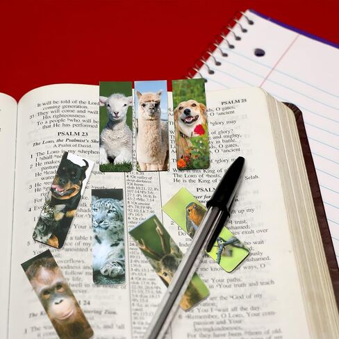 60 Pieces Cool Kids Magnetic Bookmarks Set for Kids Cute Animal Book Marks Space Galaxy Magnetic Bookmarks Cute Cat Bookmarks Cute Dog Bookmarks for Book Lovers Book Club Classroom Gifts for Students in Saudi Arabia