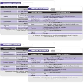 Common Medications by Classification Reference Horizontal Badge Cards - Excellent Resource for Nurses, Nursing Clinicals, and RN Students - Great Nursing School Supplies and Accessories