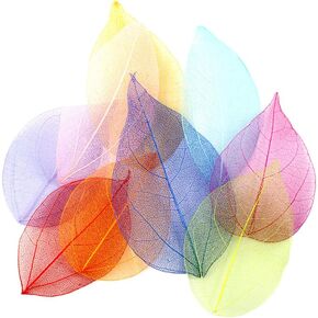 100 PCS Mixed Colors Skeleton Leaves Leaf Dried Leaves Embellishment for Scrapbooking Craft