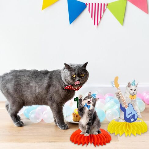 مجموعة من 9 قطع من قطع مركزية على شكل قرص العسل للقطط الممتعة، طبول راقصة، جيتار جميل، زخرفة طاولة على شكل قطة لمستلزمات استحمام الطفل في حفلات أعياد الميلاد (الأصفر والأزرق والبرتقالي والوردي والأحمر) in Kuwait