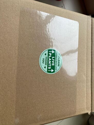 ملصقات شفافة مقاس 5 × 8 بوصة مكونة من 30 ورقة، ملصقات شفافة وأختام ويفر شفافة مقاومة للماء لحماية الرموز الشريطية والأرقام والملصقات in Kuwait