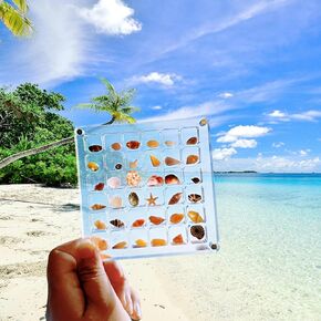 Acrylic Magnetic Seashell Display Box, 36 Grids Seashell Storage Box Clear Display Case Craft Organizers for Small Seashell Diamond Jewelry Beads