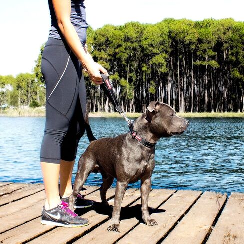 EzyDog Neo Mongrel Short Dog Leash for Large Dogs - Reflective Stitching for Nighttime Safety with a Heavy Duty Snap Hook for Comfort and Control - Add an Extension for a Full Size Leash (Red) in Saudi Arabia