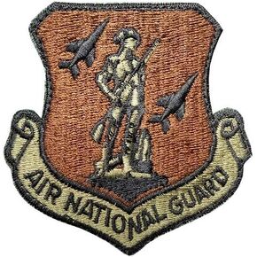 US Air Force Air National Guard OCP Spice Brown Patch with Hook Fastener (EA)
