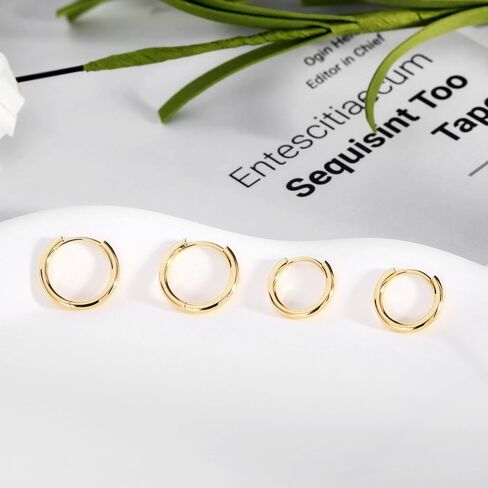 أقراط دائرية صغيرة من الذهب عيار 14 قيراط: حلقات هوجي من الذهب الأصفر عيار 14 قيراط حقيقية للنساء والرجال للارتداء اليومي in Kuwait