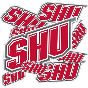 Desert Cactus Sacred Heart University Sticker Pioneers SHU Stickers Vinyl Decals Laptop Water Bottle Car Scrapbook T3 (Type 3-1)